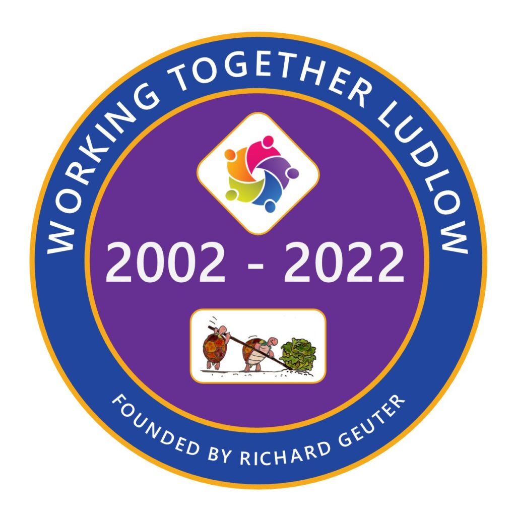 20th Anniversary Badge